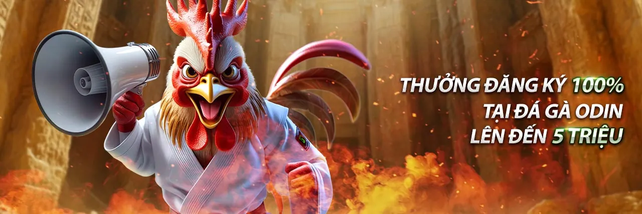 Hình ảnh quảng cáo các ưu đãi và khuyến mãi hấp dẫn tại 1vn 2026