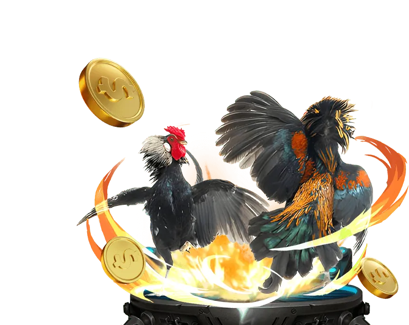 Phân tích các yếu tố cá cược