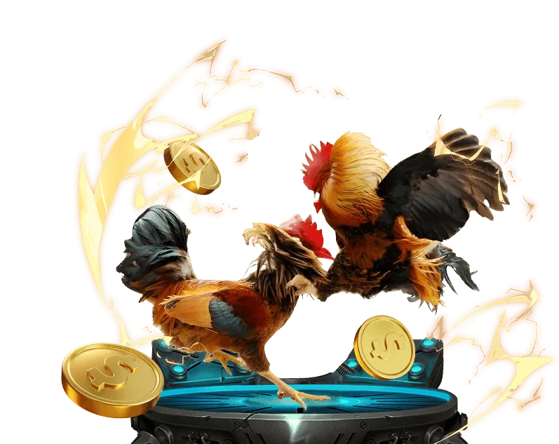 Các chương trình khuyến mãi và ưu đãi hấp dẫn của 1vn